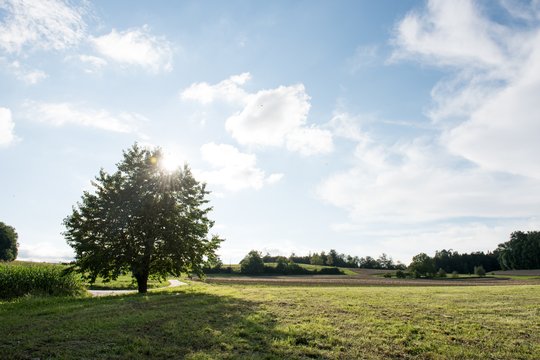 Testaufnahmen mit der Nikon D810.